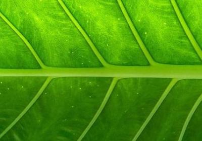 舅舅50岁生日祝福语(优选50句)