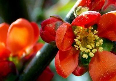 结婚三十周年祝福语(汇总40句)