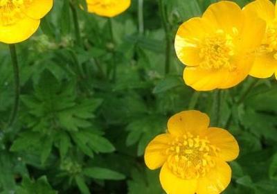 调动工作祝福语(实用40句)