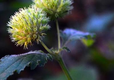 舞蹈室开业祝福语(30句)