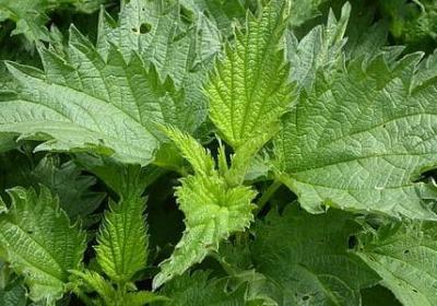 舅舅生日祝福语(推荐40句)