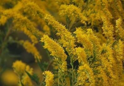 考研的祝福语(50句) 考研的祝福语(50句)