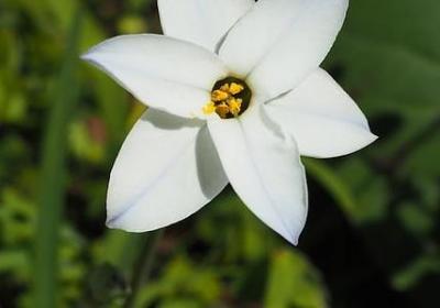 舅舅生日快乐祝福语(实用56句)