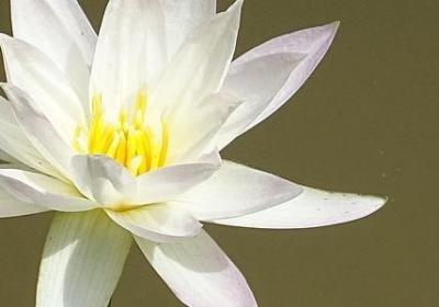 英文生日贺卡祝福语(合集49句)