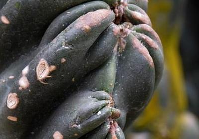 老领导退休祝福语(合集40句)