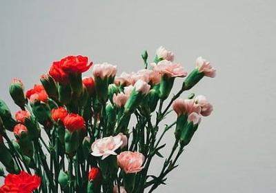 给晚辈生日祝福语(汇总60句)