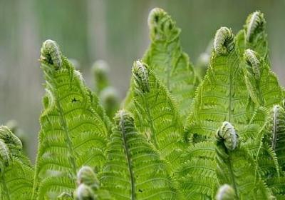 蓝颜生日祝福语(汇总50句)