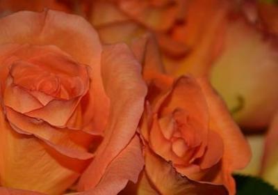 考试顺利的祝福语图片(优选70句)