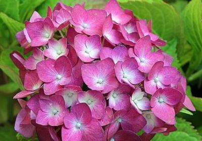 贺卡祝福语简短(实用80句)