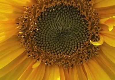 结婚红包祝福语格式(推荐50句)