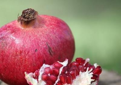 老师过生日祝福语(合集30句)