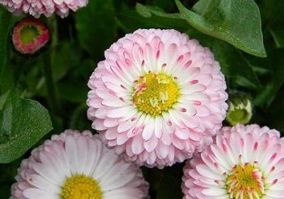 考公务员祝福语(必备50句)