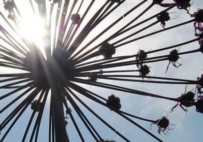 英文信件结尾祝福语(共176句)