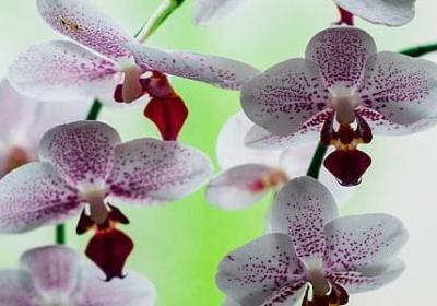 结婚十周年祝福语(实用40句)