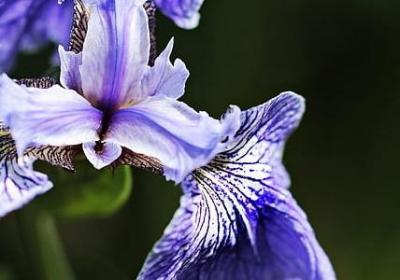 老年人生日祝福语大全(实用40句)