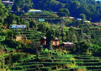 考好成绩的祝福语(实用69句)