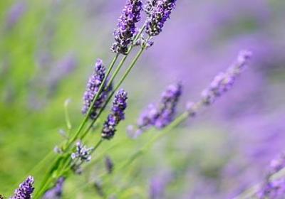 吃冰淇淋时很爽的句子(必备20句)