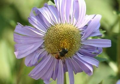 贺词祝福语(汇总39句)