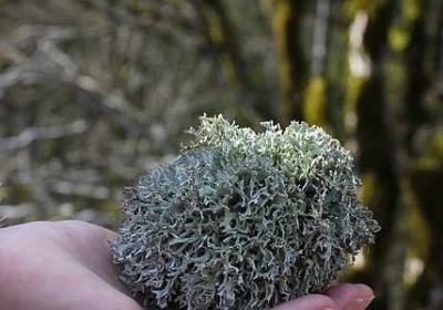 结婚纪念日祝福语朋友(合集60句)