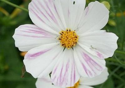 给家人的祝福语简短(41句)