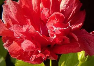 贯口祝福语(汇总40句)