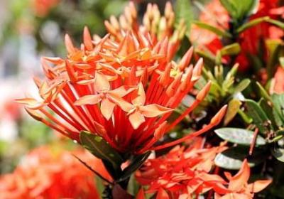 蛋糕上的祝福语(通用60句)