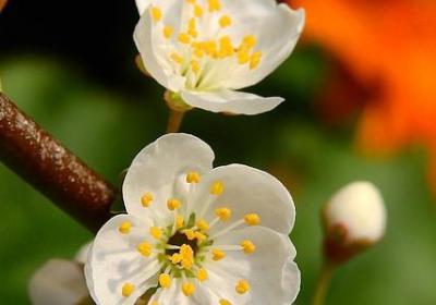 自己生孩子的祝福语(47句)