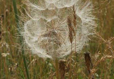 考大学祝福语大全(合集50句)