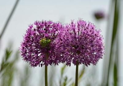 舞蹈学校开业祝福语(精选51句)