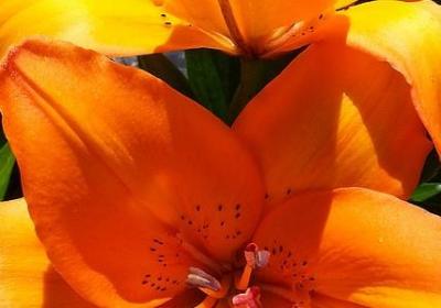 老爸祝福语(精选40句)