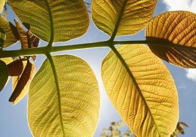 贺卡上写什么祝福语(汇总80句)