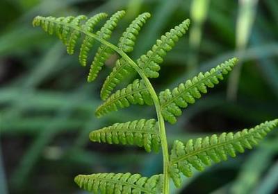 越来越年轻的祝福语(精选50句)