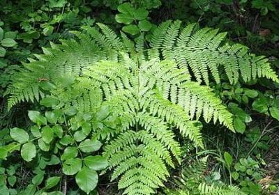 英语送别祝福语(精选50句)