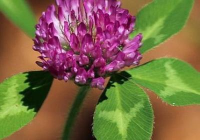 艺考祝福语(必备50句)