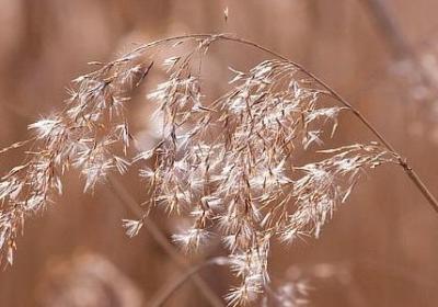 老爸生日祝福语(共50句)