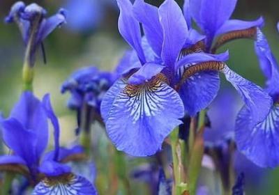 警察退休祝福语(实用45句)