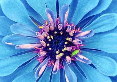 自己过生日的祝福语(汇总70句)