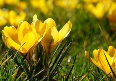 给好朋友的结婚祝福语(热门39句)