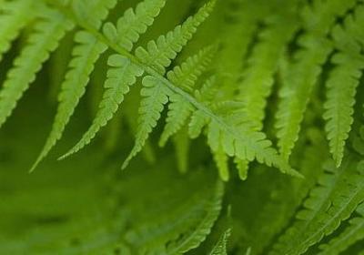 考试祝福语幽默(合集40句)