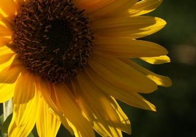 给幼儿园宝贝的祝福语(热门40句)