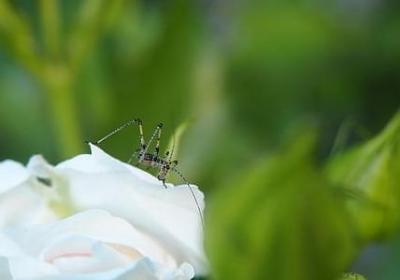 花甲之年祝福语(精选50句)