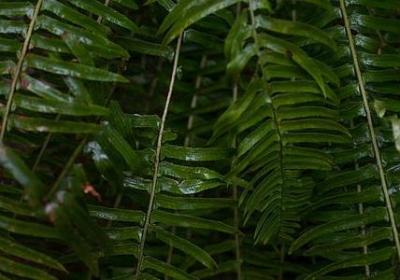 英文的生日祝福语(60句)