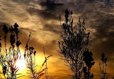 装修祝福语(共40句)