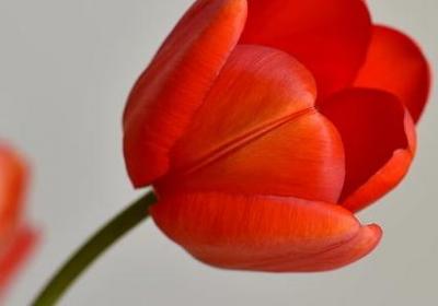 考上大学的祝福语贺词(汇总40句)