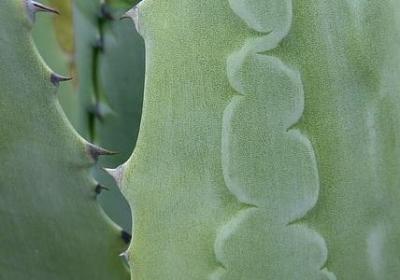 给家公生日简短祝福语(必备60句)