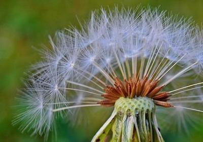 语文老师的祝福语(共60句)