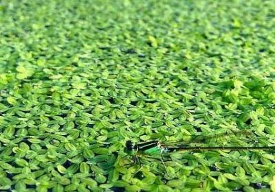 跑步祝福语(共50句)