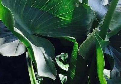 舞蹈学校周年庆祝福语(推荐50句)