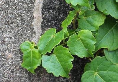 赚钱祝福语(优选40句)