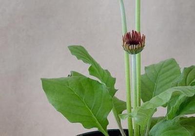 践行祝福语(优选60句)